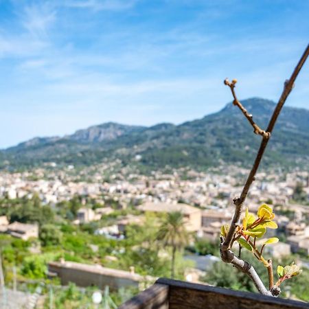 Can Jaumins Sóller Екстериор снимка
